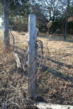 A wooden post with barbed wire fencing